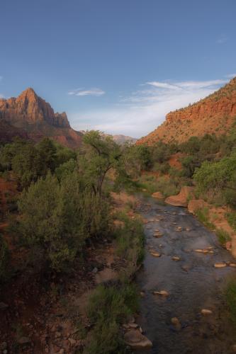 Morning Stroll in Zion NP