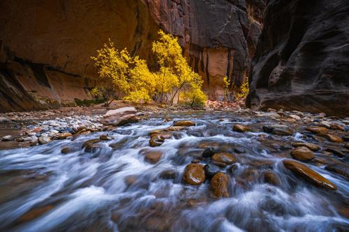 Autumn in Zion National Park is the absolute best time to visit.