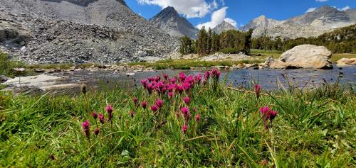 Near Chickenfoot lake CA.