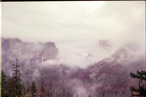 Yosemite National Park