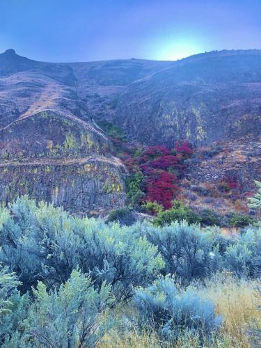 The first tinges of Autumn in the High Desert, Essau Canyon, Oregon