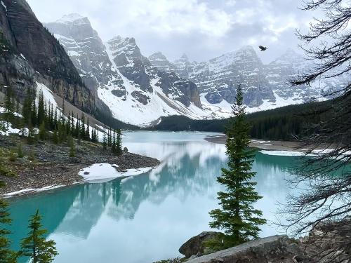 Birds Eye View of Moraine Lake - Banff National Park Canada