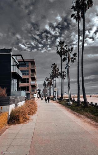 Venice Beach Sidewalk