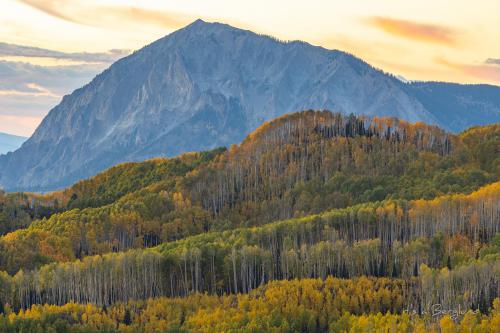 Fall Colors, Colorado