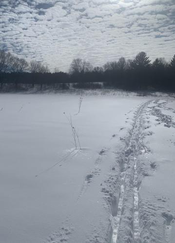 Snow and Sky