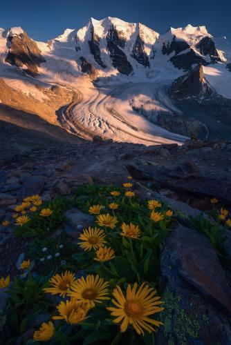 Summer in Swiss Alps, Switzerland  Insta: arpandas_photography_adventure