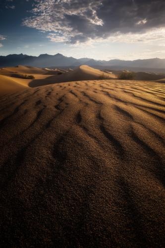 Mesquite Mornings, Death Valley National Park