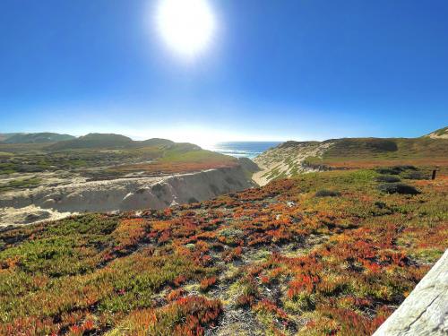 Fort Ord Dunes, Marina, CA