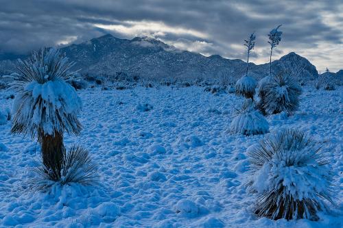 Once in 10 years desert snow in Arizona