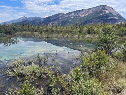 Headwaters of the Columbia River, Canal Flats, British Columbia