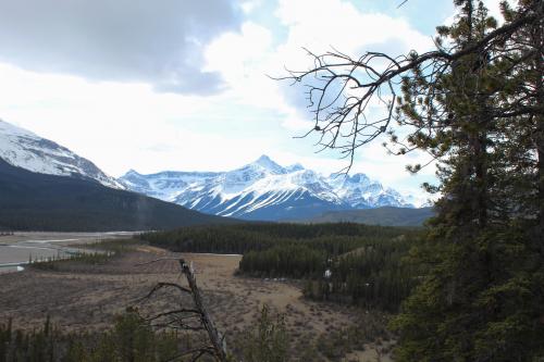 Howse Pass and the North Saskatchewan River, Banff National Park