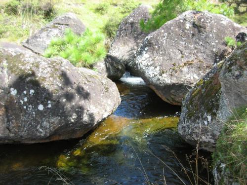 Creek in Piedras Encimadas, Mexico