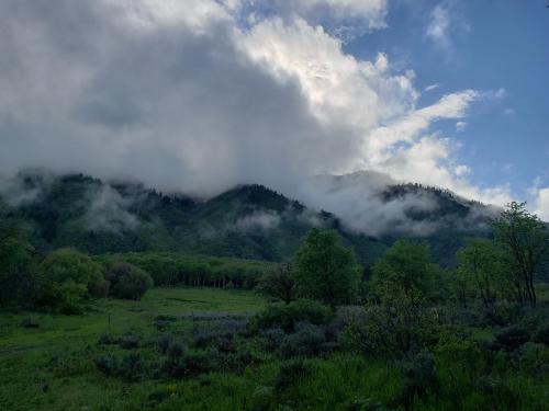 Hell Canyon, UT.