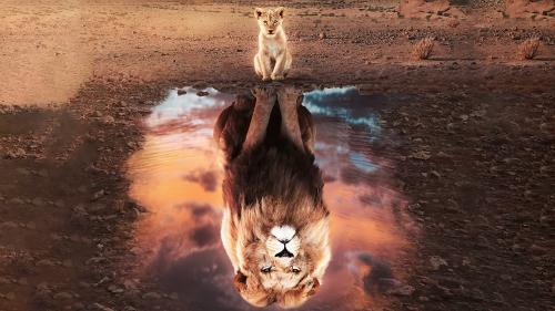 Reflection of Self