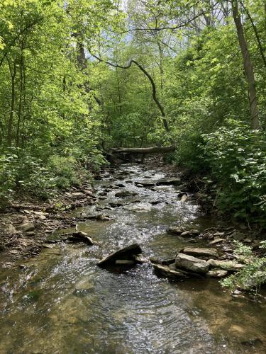 Hollow Oak Loop, Pittsburgh, PA