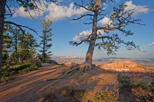 Bryce Canyon UT