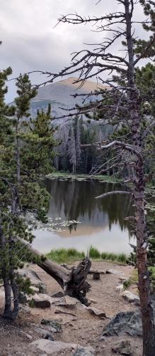 Nymph Lake, Rocky Mountain National Park, what a beautiful place!