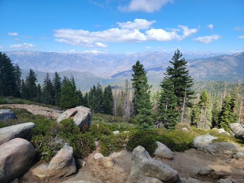 Sequoia National Forest, California