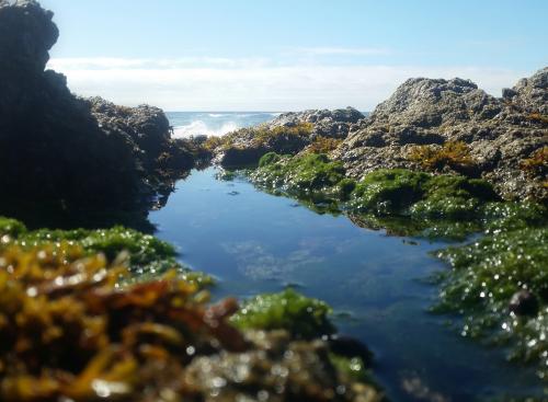 Stinson Beach, CA. 3078X2255