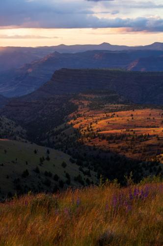 Sunset on Sutton Mountain, Oregon, USA-