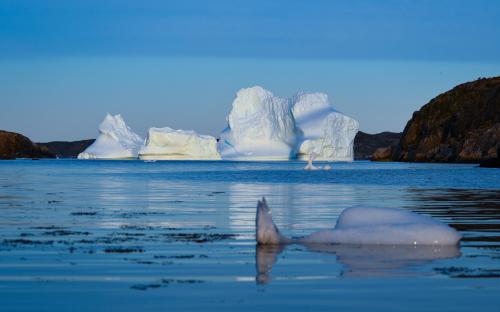 Iceberg with bits floating to shore in Newfoundland, Canada