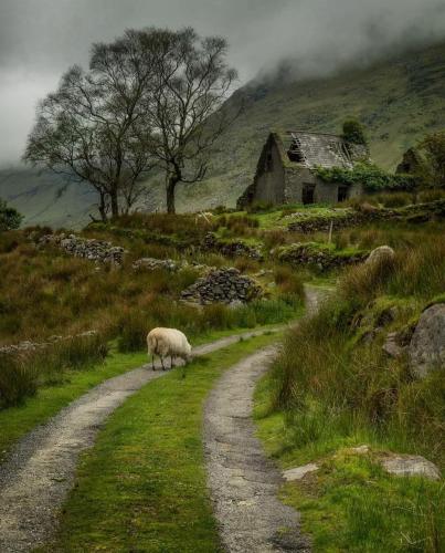 Road to an abandoned cottage in the Black Valley under the misty MacGillycuddy Reeks Mountains, County Kerry, Ireland.