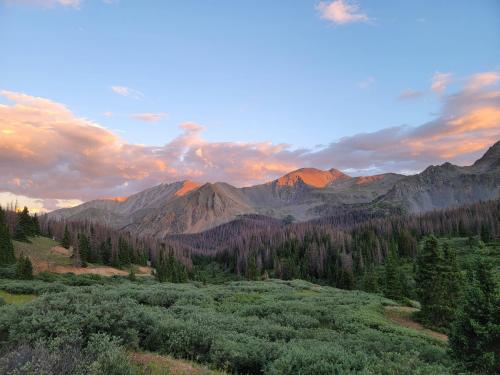 My Campsite in the Mountains near Salida Colorado, USA