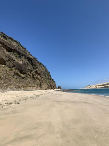 Somewhere in Omapere located on the North Island of New Zealand.