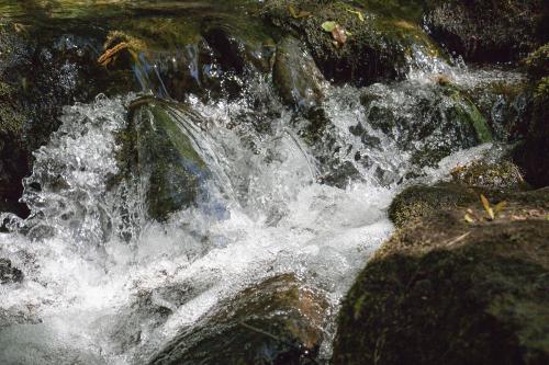 Dolgoch Falls, Wales