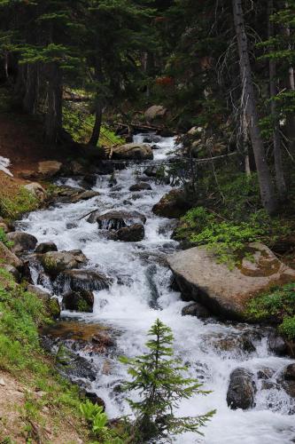 Red Pine Lake Trail, Utah,