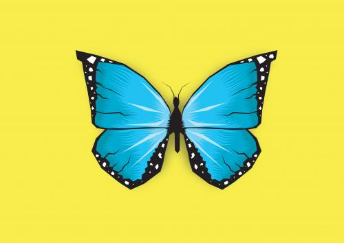 Blue Butterfly