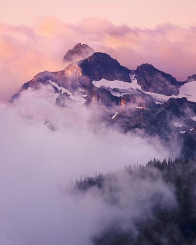 Fog rolling out in Mt. Rainier National Park