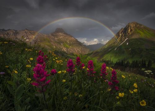 Just a rainbow and some flowers in Colorado’s San Juan mountains