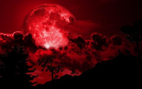 Beautiful Red Moon