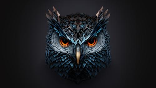 Owl Fractal