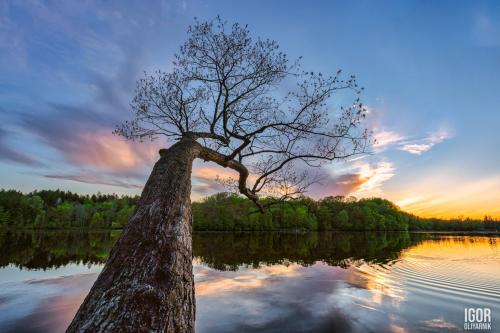 Hinckley Lake, Ohio