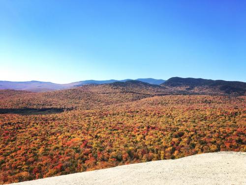 Fall Foliage Bursting With Color. Lincoln, NH.