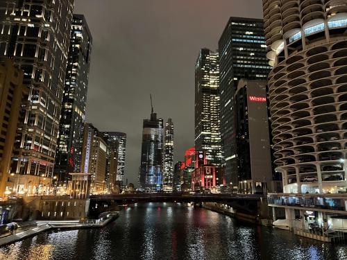 My walk back to work after grabbing a sandwich in dinner break. [Chicago IL]