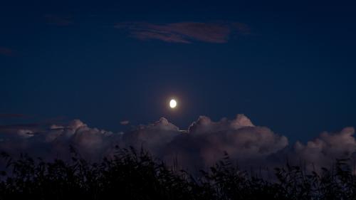 Scenic View Of Night Sky