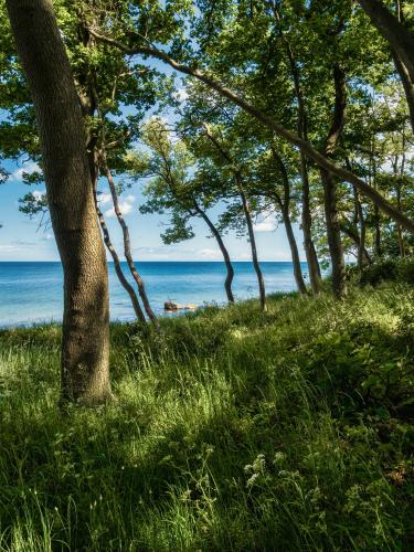 Hiking along the coast of the island of Fehmarn, Germany