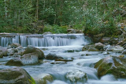 Skokomish River--Nine Stream Camp, Olympic Mountains, Wa.