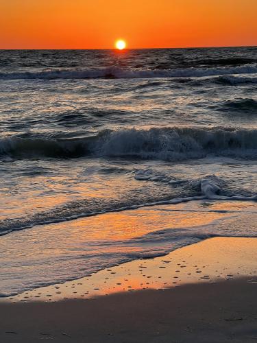 Gulf Coast sunset. Clearwater Beach, FL