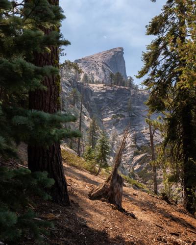 Halfdome through the woods, YNP, CA