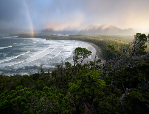 "Tempest" - Vancouver Island -