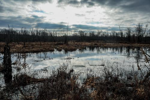 Indiana Dunes national Lakeshore