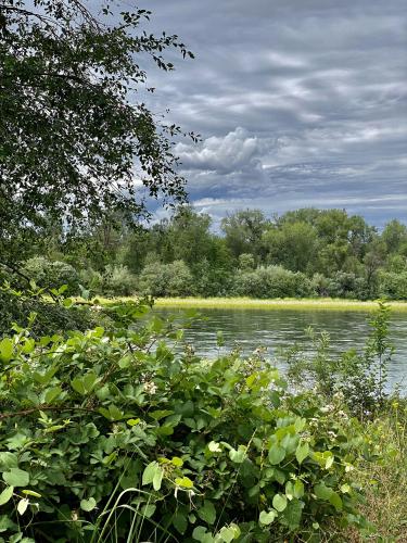 Sacramento River Anderson CA