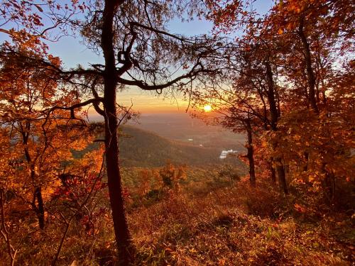 Golden hour on Mount Yonah last Fall