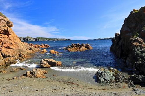 Wild Cove in Newfoundland