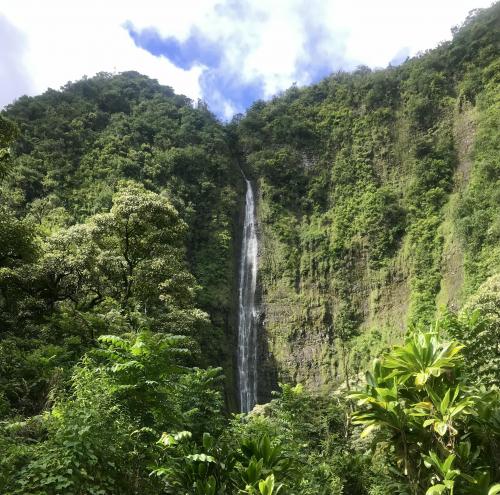 Deep in the jungle at 400 foot Waimoku Falls - Maui Hawaii