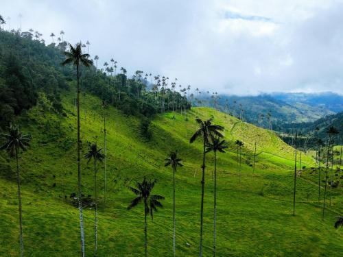 The Cocorra Valley, Colombia